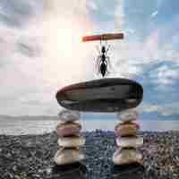 seo快​速﻿优​化‍软‌件‌